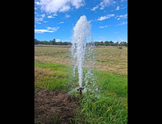 FARM FOR SALE IN WITFONTEIN